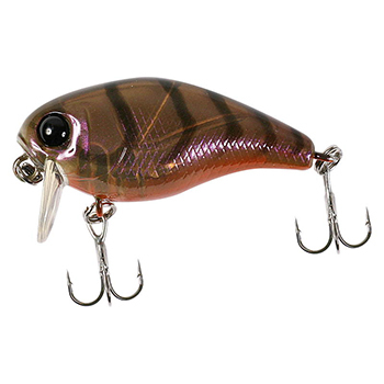 Воблер Jackall Chubby 38 SSR 38мм 4.2гр brown suji shrimp