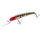 Вид  - Воблер Flagman Deep Hunter 120F 120мм 22гр F262