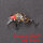 Вид  - Воблер Lucky John Pro Series Haira Tiny LBF 03.3 Plus Foot 33мм 4гр 503