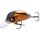 Вид - Воблер Lucky John HAIRA TINY SR 03.30 33мм 3.5гр 367