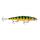 Вид - Воблер Rapala Shadow Rap 11 110мм 13гр P