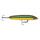 Вид  - Воблер Rapala Skitter V 10 100мм 14гр HO