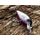 Вид 4 - Воблер Lucky John Original Shad-XDR F 08 80мм 14гр 003