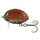 Вид 2 - Воблер Salmo Lil'Bug F 03 30мм 4,3гр MBG
