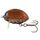 Вид 2 - Воблер Salmo Lil'Bug F 02 25мм 2,8гр MBG