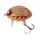 Вид 2 - Воблер Salmo Lil'Bug F 02 25мм 2,8гр MF