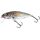 Вид 2 - Воблер Salmo Perch F 08 80мм 12гр HGS