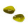 Вид 1 - Силиконовые приманки I AM Trout Hunter Bulky 27мм 8шт T16