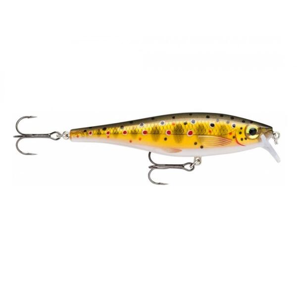 Воблер Rapala BX Minnow 10 100мм 12гр TR